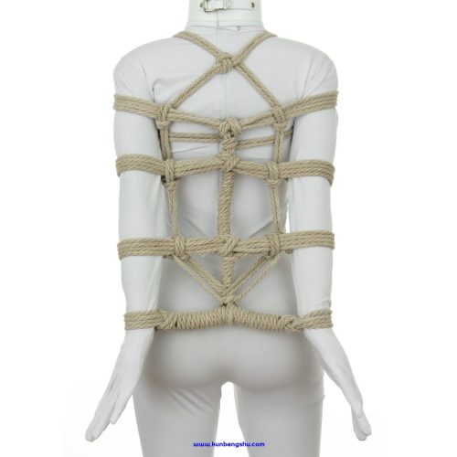 https://www.theduchy.com/wp-content/uploads/2021/01/Armbinder-Parallel-Arm.jpg