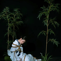 “捆绑”教学_绳师48号