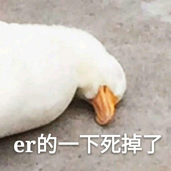 -24